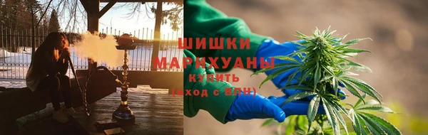сатива Алзамай