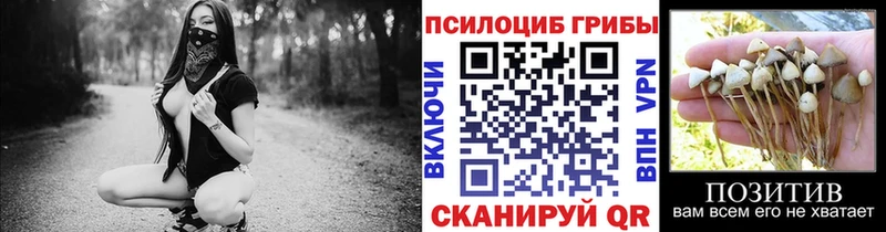 omg маркетплейс  Тосно  Псилоцибиновые грибы Magic Shrooms  где купить наркоту 
